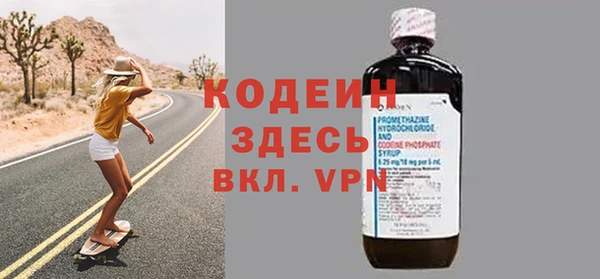 apvp Каменка