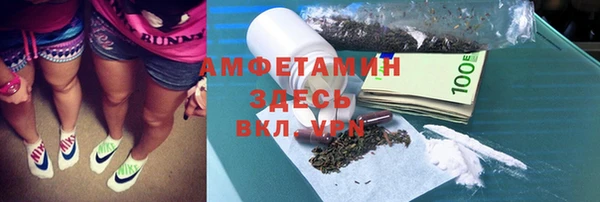 apvp Каменка