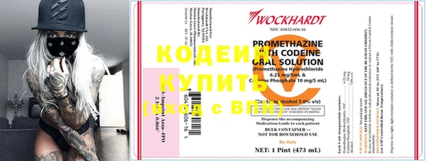 apvp Каменка