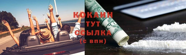 apvp Каменка