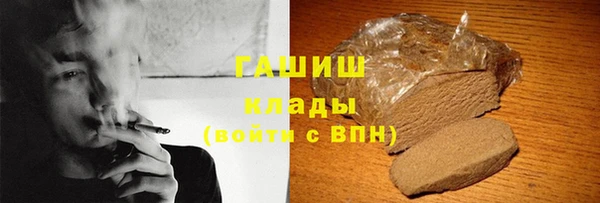 apvp Каменка