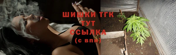 гидропоника Каменск-Шахтинский
