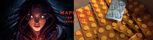 мяу мяу мука Каменногорск