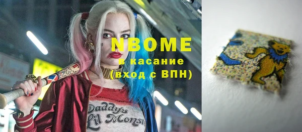 apvp Каменка
