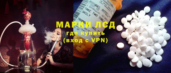 apvp Каменка