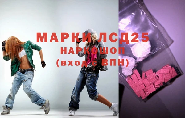 apvp Каменка