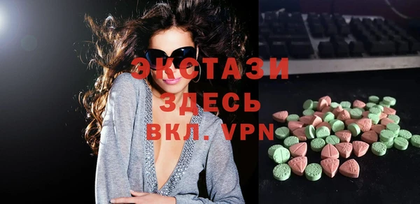 apvp Каменка