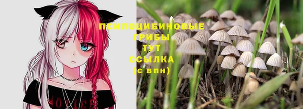 мяу мяу мука Каменногорск