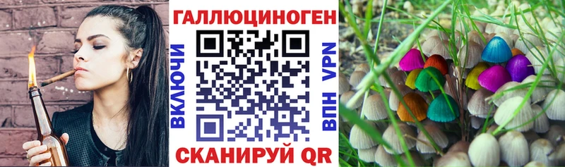 Галлюциногенные грибы Magic Shrooms Купить Няндома