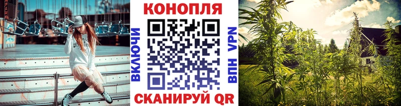 Канабис семена  Купить где  Няндома 
